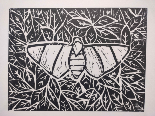 Moth Linocut Print